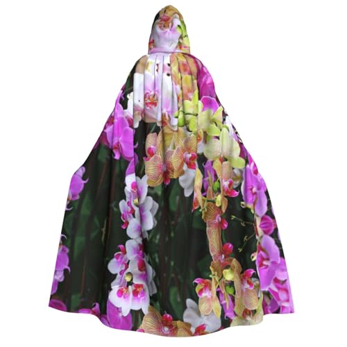 Kfjghhl Orchideen-Halloween-Umhang, goldener Kapuzenumhang, volle Länge, Robe, Umhang, Halloween-Kostüm, Cosplay, Party Kfjghhl Orchideen-Halloween-Umhang, goldener Kapuzenumhang, volle Länge, Robe, Umhang, Halloween-Kostüm, Cosplay, Party von Kfjghhl