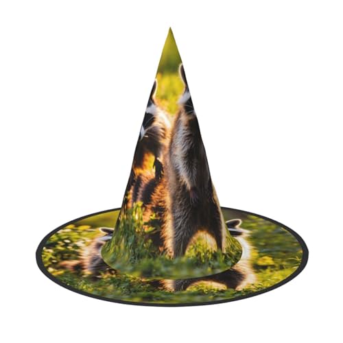 Kfjghhl Süßer Waschbär-Hut, böse Kostüme, Erwachsene, Unisex, Stirnband, Kostümzubehör, Weihnachtsfeier, Cosplay, Zauberer-Kostüm, Outfit, Halloween Kfjghhl Süßer Waschbär-Hut, böse Kostüme, Erwachsene, Unisex, Stirnband, Kostümzubehör, Weihnachtsfeier, Cosplay, Zauberer-Kostüm, Outfit, Halloween von Kfjghhl