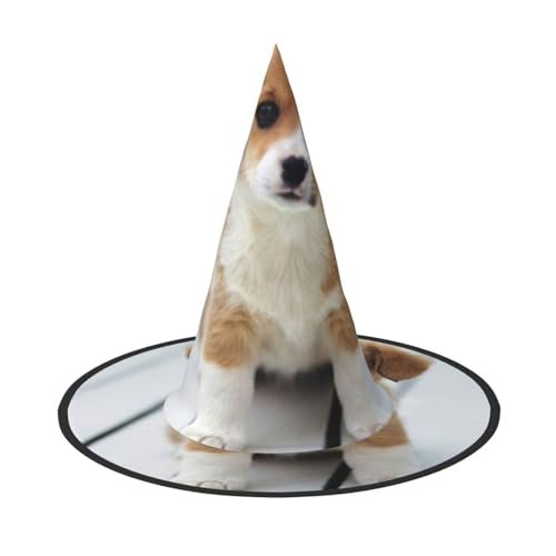 Kfjghhl Süßer Welpenhut für Halloween, böse Kostüme, Erwachsene, Unisex, Stirnband, Kostümzubehör, Weihnachtsfeier, Cosplay, Zauberer-Kostüm, Outfit, Halloween Kfjghhl Süßer Welpenhut für Halloween, böse Kostüme, Erwachsene, Unisex, Stirnband, Kostümzubehör, Weihnachtsfeier, Cosplay, Zauberer-Kostüm, Outfit, Halloween von Kfjghhl