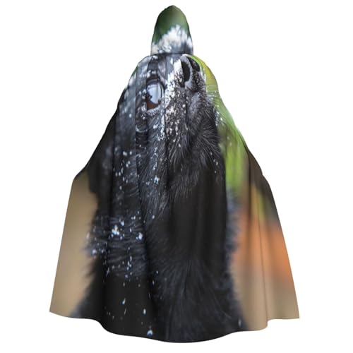 Khkbnb Kapuzenumhang für Erwachsene, Motiv: Die Sehnsucht der Hunde, Halloween-Kostüm, perfekt für Hexen-Cosplay, Horror-Halloween-Partys von Khkbnb
