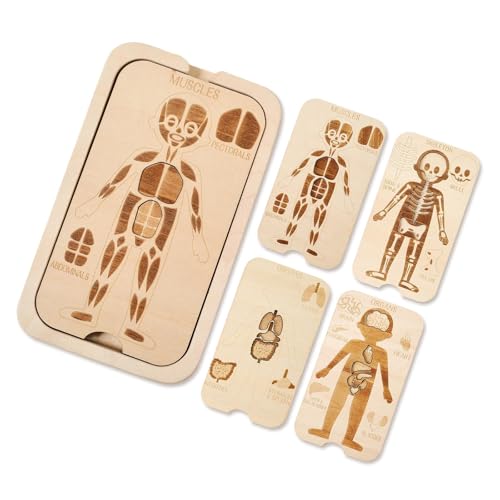 KiBcsLic Holz Körper Puzzle Hand Auge Koordination Puzzle für Reise Geburtstag Jungen KiBcsLic Holz Körper Puzzle Hand Auge Koordination Puzzle für Reise Geburtstag Jungen von KiBcsLic