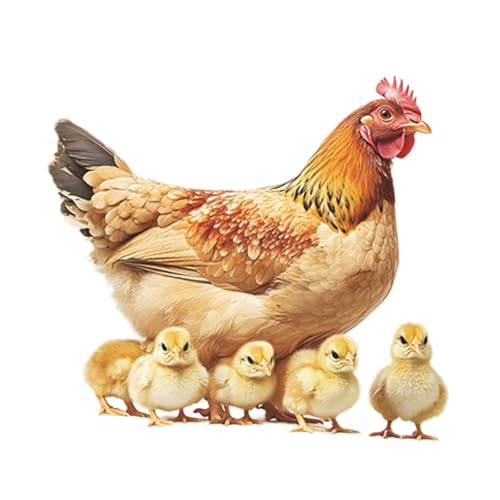 KiBcsLic Huhn Aufkleber Hahn Huhn PVC Tapete für Küche Bad Schule von KiBcsLic