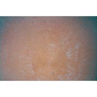KIBRI 37962 N Mauerplatte Klinker, 20 x 12 cm von Kibri