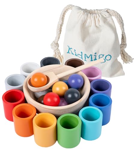 KidMigo Montessori Spielzeug 2 Jahre, Holz Sortier Stapelspielzeug, Montessori Spielzeug Baby, Sensorik Spielzeug & Lernspielzeug für Vorschule für Farbsortierung und Zählen, Geschenk für 2 3 4 Jahre von KidMigo