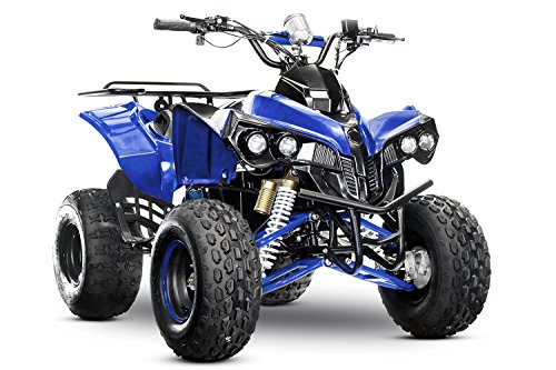 Kinder Elektroquad Warrior Eco midi Quad 1000W 48V ATV Kinderquad, Farbe:Blau von Kidcars