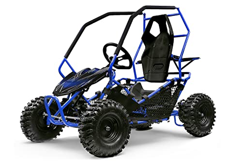 Nitro Motors Eco Gokart Crosser 1000W 36V 2-Stufen Drossel Kinderbuggy Kinder-Quad, Farbe:Blau von Kidcars