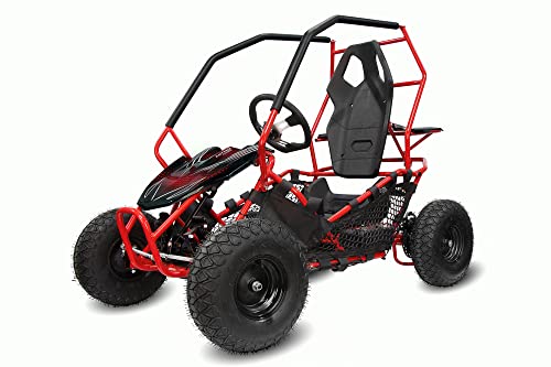 Nitro Motors Eco Gokart Racer 1000W 36V 2-Stufen Drossel Kinderbuggy Kinder-Quad, Farbe:Rot von Kidcars
