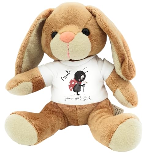 Kilala Kuscheltier Hase Glücksbringer Marinkäfer mit Glücksspruch herzerwärmendem Spruch (Marinkäfer) von Kilala