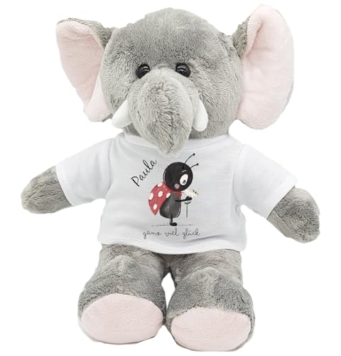 Kuscheltier Elefant Gute Besserung mit Wunschname personalisiert Trostspender für Groß & Klein bei Krankheit (Glückskäfer) von Kilala
