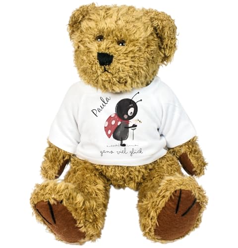 Teddy Kuscheltier Bär Stofftier Gute Besserung mit Wunschname personalisiert Trostspender für Groß & Klein bei Krankheit (Glückskäfer) von Kilala