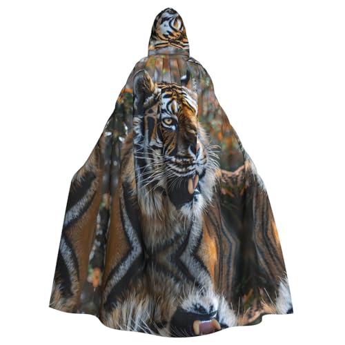 Kingww Majestic Tiger Halloween Kapuzenumhang für Männer und Frauen: leichter Polyester-Umhang mit Kapuze – perfekt für Cosplay, Halloween & Kostümpartys Kingww Majestic Tiger Halloween Kapuzenumhang für Männer und Frauen: leichter Polyester-Umhang mit Kapuze – perfekt für Cosplay, Halloween & Kostümpartys von Kingww