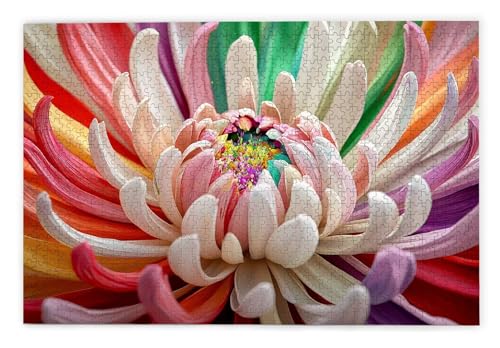 Puzzle 1000 Teile, Chrysantheme Puzzle 1000 Teile Erwachsene, Holzpuzzle Erwachsene, EIN Herausforderndes Rätsel, Puzzlespiele für Die Ganze Familie, Holzpuzzle für Deko Wohnzimmer, Geschenke, A-96 Puzzle 1000 Teile, Chrysantheme Puzzle 1000 Teile Erwachsene, Holzpuzzle Erwachsene, EIN Herausforderndes Rätsel, Puzzlespiele für Die Ganze Familie, Holzpuzzle für Deko Wohnzimmer, Geschenke, A-96 von Kinntn