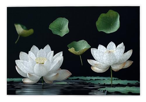 Puzzle 1000 Teile, Lotus Puzzle 1000 Teile Erwachsene, Holzpuzzle Erwachsene, EIN Herausforderndes Rätsel, Puzzlespiele für Die Ganze Familie, Holzpuzzle für Zimmer Deko Wohnzimmer, Geschenke, Q-34 Puzzle 1000 Teile, Lotus Puzzle 1000 Teile Erwachsene, Holzpuzzle Erwachsene, EIN Herausforderndes Rätsel, Puzzlespiele für Die Ganze Familie, Holzpuzzle für Zimmer Deko Wohnzimmer, Geschenke, Q-34 von Kinntn