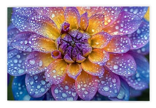 Puzzle 1000 Teile Erwachsene, Blume Puzzle 1000 Teile mit Geschenkbox, Holzpuzzle Erwachsene mit Naturholz, Geschenke für Frauen, Geschenke für Männer, Groß Holzpuzzle für Wanddeko Wohnzimmer, O-25 Puzzle 1000 Teile Erwachsene, Blume Puzzle 1000 Teile mit Geschenkbox, Holzpuzzle Erwachsene mit Naturholz, Geschenke für Frauen, Geschenke für Männer, Groß Holzpuzzle für Wanddeko Wohnzimmer, O-25 von Kinntn