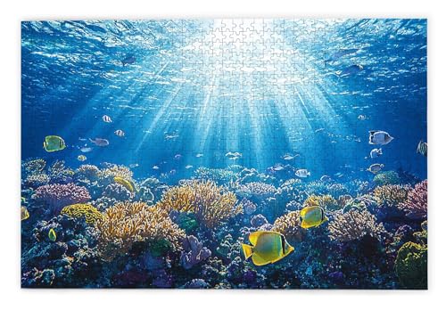 Puzzle 1000 Teile Erwachsene, Meer Puzzle 1000 Teile mit Geschenkbox, Holzpuzzle Erwachsene mit Naturholz, Geschenke für Frauen, Geschenke für Männer, Groß Holzpuzzle für Wanddeko Wohnzimmer, J-13 Puzzle 1000 Teile Erwachsene, Meer Puzzle 1000 Teile mit Geschenkbox, Holzpuzzle Erwachsene mit Naturholz, Geschenke für Frauen, Geschenke für Männer, Groß Holzpuzzle für Wanddeko Wohnzimmer, J-13 von Kinntn