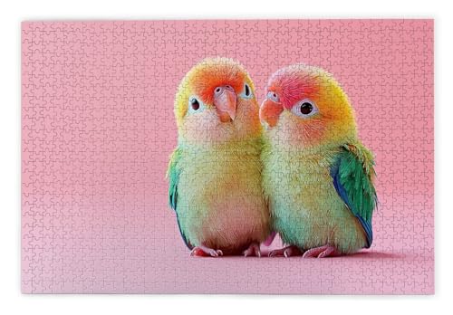 Puzzle 1000 Teile Erwachsene, Papagei Puzzle 1000 Teile mit Geschenkbox, Holzpuzzle Erwachsene mit Naturholz, Geschenke für Frauen, Geschenke für Männer, Groß Holzpuzzle für Wanddeko Wohnzimmer, B-5 Puzzle 1000 Teile Erwachsene, Papagei Puzzle 1000 Teile mit Geschenkbox, Holzpuzzle Erwachsene mit Naturholz, Geschenke für Frauen, Geschenke für Männer, Groß Holzpuzzle für Wanddeko Wohnzimmer, B-5 von Kinntn