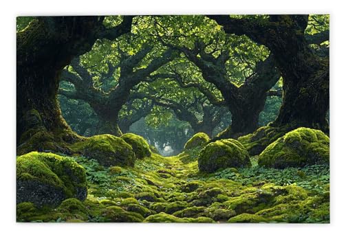 Puzzle 1000 Teile Erwachsene, Wald Puzzle 1000 Teile mit Geschenkbox, Holzpuzzle Erwachsene mit Naturholz, Geschenke für Frauen, Geschenke für Männer, Groß Holzpuzzle für Wanddeko Wohnzimmer, V-45 Puzzle 1000 Teile Erwachsene, Wald Puzzle 1000 Teile mit Geschenkbox, Holzpuzzle Erwachsene mit Naturholz, Geschenke für Frauen, Geschenke für Männer, Groß Holzpuzzle für Wanddeko Wohnzimmer, V-45 von Kinntn