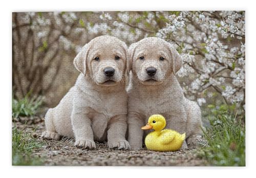 Puzzle 1500 Teile Erwachsene, Hund Puzzle 1500 Teile mit Geschenkbox, Holzpuzzle Erwachsene mit Naturholz, Geschenke für Frauen, Geschenke für Männer, Groß Holzpuzzle für Wanddeko Wohnzimmer, B-71 Puzzle 1500 Teile Erwachsene, Hund Puzzle 1500 Teile mit Geschenkbox, Holzpuzzle Erwachsene mit Naturholz, Geschenke für Frauen, Geschenke für Männer, Groß Holzpuzzle für Wanddeko Wohnzimmer, B-71 von Kinntn