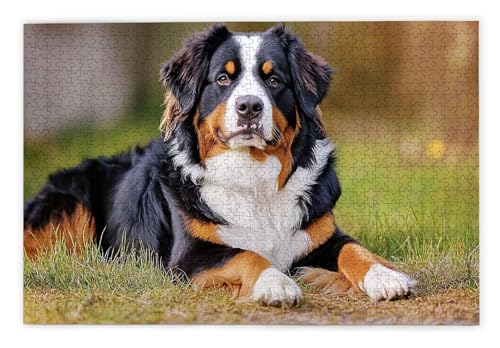 Puzzle 1500 Teile Erwachsene, Hund Puzzle 1500 Teile mit Geschenkbox, Holzpuzzle Erwachsene mit Naturholz, Geschenke für Frauen, Geschenke für Männer, Groß Holzpuzzle für Wanddeko Wohnzimmer, T-9 von Kinntn