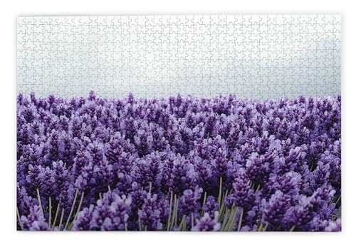 Puzzle 1500 Teile Erwachsene, Lavendel Puzzle 1500 Teile mit Geschenkbox, Holzpuzzle Erwachsene mit Naturholz, Geschenke für Frauen, Geschenke für Männer, Groß Holzpuzzle für Wanddeko Wohnzimmer, Q-45 Puzzle 1500 Teile Erwachsene, Lavendel Puzzle 1500 Teile mit Geschenkbox, Holzpuzzle Erwachsene mit Naturholz, Geschenke für Frauen, Geschenke für Männer, Groß Holzpuzzle für Wanddeko Wohnzimmer, Q-45 von Kinntn