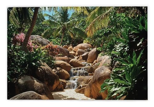 Puzzle 1500 Teile Erwachsene, Tropisch Puzzle 1500 Teile mit Geschenkbox, Holzpuzzle Erwachsene mit Naturholz, Geschenke für Frauen, Geschenke für Männer, Groß Holzpuzzle für Wanddeko Wohnzimmer, C-73 Puzzle 1500 Teile Erwachsene, Tropisch Puzzle 1500 Teile mit Geschenkbox, Holzpuzzle Erwachsene mit Naturholz, Geschenke für Frauen, Geschenke für Männer, Groß Holzpuzzle für Wanddeko Wohnzimmer, C-73 von Kinntn