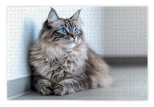 Puzzle 2000 Teile Erwachsene, Katze Puzzle 2000 Teile mit Geschenkbox, Holzpuzzle Erwachsene mit Naturholz, Geschenke für Frauen, Geschenke für Männer, Groß Holzpuzzle für Wanddeko Wohnzimmer, H-49 Puzzle 2000 Teile Erwachsene, Katze Puzzle 2000 Teile mit Geschenkbox, Holzpuzzle Erwachsene mit Naturholz, Geschenke für Frauen, Geschenke für Männer, Groß Holzpuzzle für Wanddeko Wohnzimmer, H-49 von Kinntn