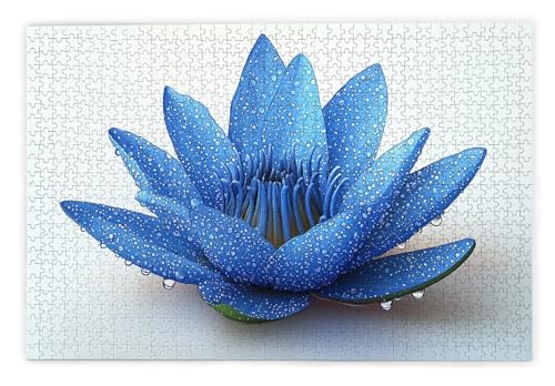 Puzzle 2000 Teile Erwachsene, Lotus Puzzle 2000 Teile mit Geschenkbox, Holzpuzzle Erwachsene mit Naturholz, Geschenke für Frauen, Geschenke für Männer, Groß Holzpuzzle für Wanddeko Wohnzimmer, D-85 Puzzle 2000 Teile Erwachsene, Lotus Puzzle 2000 Teile mit Geschenkbox, Holzpuzzle Erwachsene mit Naturholz, Geschenke für Frauen, Geschenke für Männer, Groß Holzpuzzle für Wanddeko Wohnzimmer, D-85 von Kinntn