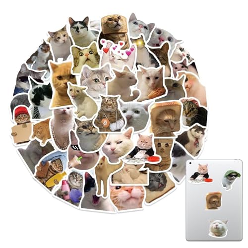 50 Stück Katzen-Aufkleber, lustige Packungen – lustige süße Kätzchen-Aufkleber, wasserfeste ästhetische Aufkleber | Katzen-Dekoration, Katzen-Partygeschenke, wasserfeste Katzen-Aufkleber für Wasserfla 50 Stück Katzen-Aufkleber, lustige Packungen – lustige süße Kätzchen-Aufkleber, wasserfeste ästhetische Aufkleber | Katzen-Dekoration, Katzen-Partygeschenke, wasserfeste Katzen-Aufkleber für Wasserfla von Kioriur