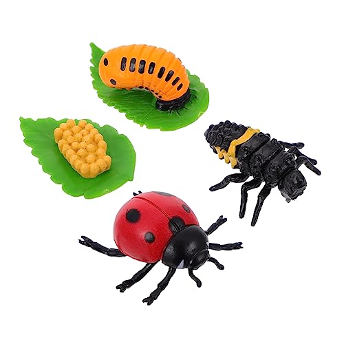 Kisangel 4 Stück Marienkäfer Wachstumszyklus Spielzeug für Kinder Lernspielzeug Dekoration Realistische Figuren Pädagogisches Modell Kisangel 4 Stück Marienkäfer Wachstumszyklus Spielzeug für Kinder Lernspielzeug Dekoration Realistische Figuren Pädagogisches Modell von Kisangel