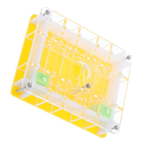 Kisangel 1 Satz Ameisennest Ameisenfarm-kit Wissenschaft Beobachten Haustierameise, Klare Farm Ameisenhalter Ameisenzuchtbedarf Für Wissenschaftliche Experimente Acryl Kisangel 1 Satz Ameisennest Ameisenfarm-kit Wissenschaft Beobachten Haustierameise, Klare Farm Ameisenhalter Ameisenzuchtbedarf Für Wissenschaftliche Experimente Acryl von Kisangel