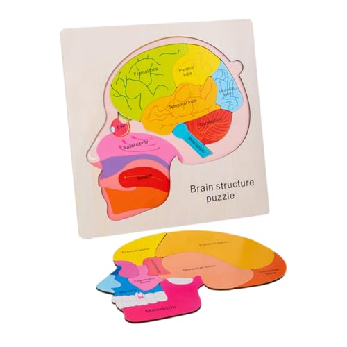 Kisangel 1 Satz Gehirnstruktur-Puzzle Gehirnstrukturmodelle Gehirne Für, Gehirnstrukturspielzeug Zur Gehirnstruktur Lernpuzzlespielzeug Gehirnrätsel Holz Kisangel 1 Satz Gehirnstruktur-Puzzle Gehirnstrukturmodelle Gehirne Für, Gehirnstrukturspielzeug Zur Gehirnstruktur Lernpuzzlespielzeug Gehirnrätsel Holz von Kisangel