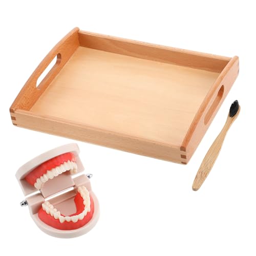 Kisangel 1 Satz Kinderzahnpflegeset aus Holz Lernspielzeug für Putzutensilien Pädagogisches Zahnhygiene Praktischen Fähigkeiten Perfektes für Jungen Zufällige Farbe Kisangel 1 Satz Kinderzahnpflegeset aus Holz Lernspielzeug für Putzutensilien Pädagogisches Zahnhygiene Praktischen Fähigkeiten Perfektes für Jungen Zufällige Farbe von Kisangel