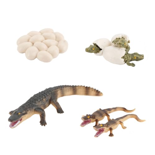 Kisangel 1 Satz Krokodilwachstumsmodell lehrreich Lernspielzeug für Tiere Bildungsspielzeug Tierspielzeug für PVC Kisangel 1 Satz Krokodilwachstumsmodell lehrreich Lernspielzeug für Tiere Bildungsspielzeug Tierspielzeug für PVC von Kisangel