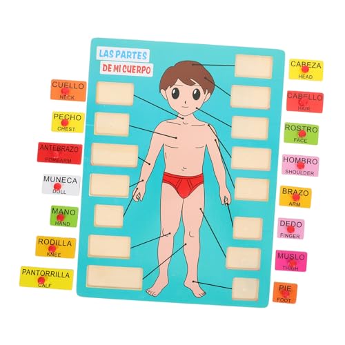Kisangel 1 Satz Puzzle- Für Den Menschlichen Körper Puzzlespielzeug Körperteile Kognitives Schulpädagogisches Werkzeug Kinderspielzeug Holz von Kisangel