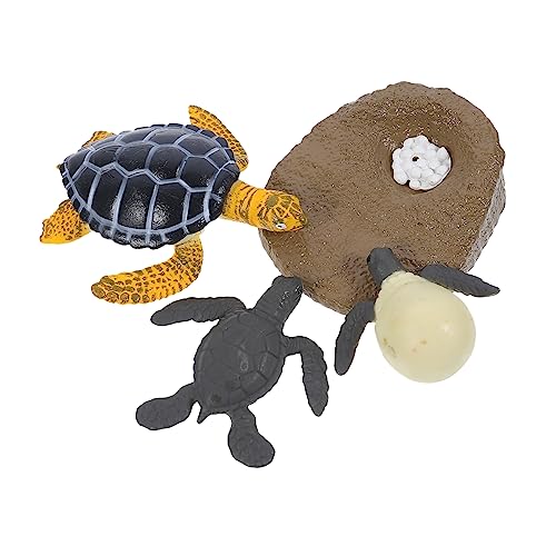 Kisangel 1 Satz Schildkrötenwachstumszyklus Modellset Realistisches Lernspielzeug für Kognitive Dekoration für Klassenzimmer und Zuhause für des Umweltbewusstseins Tierlebenszyklen Kisangel 1 Satz Schildkrötenwachstumszyklus Modellset Realistisches Lernspielzeug für Kognitive Dekoration für Klassenzimmer und Zuhause für des Umweltbewusstseins Tierlebenszyklen von Kisangel