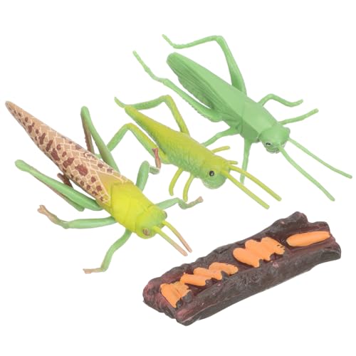 Kisangel 1 Satz Tiermodell- Tiermodelle Für Kleines Lebenszyklus- Für Lebenszyklusmodelle Von Tieren Lernspielzeug Für Kleinkinder Grün Plastik Kisangel 1 Satz Tiermodell- Tiermodelle Für Kleines Lebenszyklus- Für Lebenszyklusmodelle Von Tieren Lernspielzeug Für Kleinkinder Grün Plastik von Kisangel