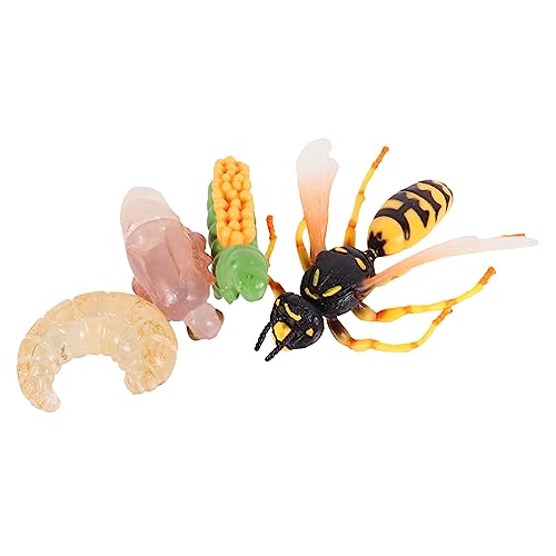 Kisangel 1 Satz Wachstumsmodell Wespenset Teiliges Lernspielzeug Kognitiven Entwicklung von Kindern für Schulprojekte und Dekoratives Element im Kinderzimmer von Kisangel