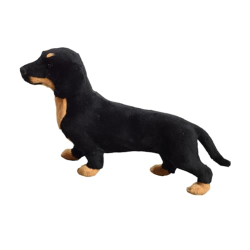 Kisangel 1 Stück Realistisches Dachshund Modell aus Hochwertigem Kreatives Lehrreiches für Rollenspiele und Kreative Aktivitäten für Hundeliebhaber Kisangel 1 Stück Realistisches Dachshund Modell aus Hochwertigem Kreatives Lehrreiches für Rollenspiele und Kreative Aktivitäten für Hundeliebhaber von Kisangel