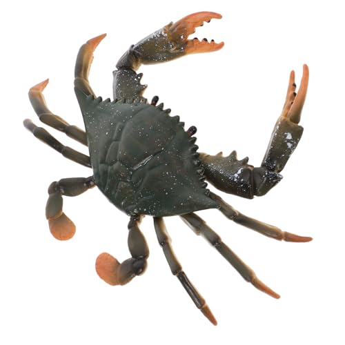Kisangel 1 Stück Realistisches Krabbenmodell für Lernspielzeug für Sicherem Leuchtende Farben Fördert Kognitive Fähigkeiten und Neugierde für Kreative Spiele Kisangel 1 Stück Realistisches Krabbenmodell für Lernspielzeug für Sicherem Leuchtende Farben Fördert Kognitive Fähigkeiten und Neugierde für Kreative Spiele von Kisangel