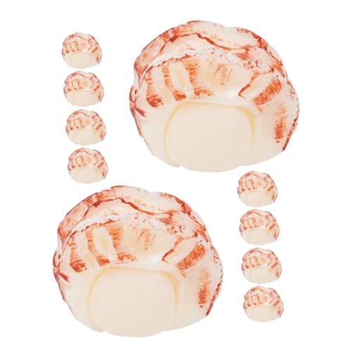 Kisangel 10 Stück Lebensechtes Jakobsmuschelfleisch: Spielzeuglebensmittel, Simuliertes Meeresfrüchtemodell Für Kinder, Miniküche, Rollenspiel Und Basteln Für Die Früherziehung Und Kisangel 10 Stück Lebensechtes Jakobsmuschelfleisch: Spielzeuglebensmittel, Simuliertes Meeresfrüchtemodell Für Kinder, Miniküche, Rollenspiel Und Basteln Für Die Früherziehung Und von Kisangel