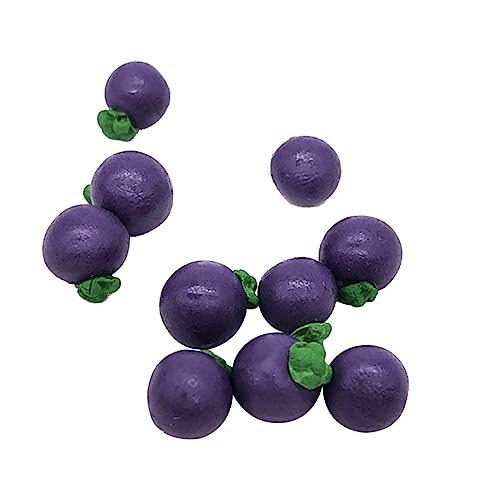 Kisangel 10 Stück Mangosteen -Requisiten Mini-Speisemodell Spielspielzeug Küche Obst Mangostan Prop Obst-Mangostan-Modell Mini-Schmuck-Miniatur- Violett von Kisangel