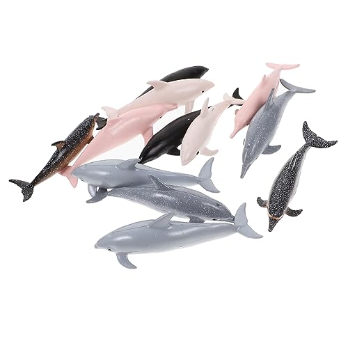Kisangel 12 Stück Teiliges Mini Delfin Modell Realistische Simulation Delfinfiguren aus Kunststoff Pädagogisches für Dekoration für Schreibtisch und Lernspielzeug Kisangel 12 Stück Teiliges Mini Delfin Modell Realistische Simulation Delfinfiguren aus Kunststoff Pädagogisches für Dekoration für Schreibtisch und Lernspielzeug von Kisangel