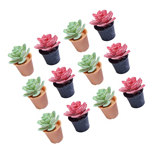 Kisangel 12stücke Miniatur Pflanzen Teiliges Modell Für Puppenhäuser Realistische Bonsai Dekoration Für Landschaften Und Sandtisch Modelle Für Kreative Deko Ideen von Kisangel