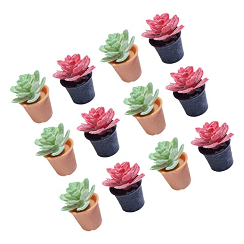 Kisangel 12Stücke Miniature Bonsai Figuren Teiliges Künstliche Topfpflanzen für Miniaturgärten und Puppenhäuser Deko Lebensmittelechtes Material für Märchenlandschaften und Kreative Kisangel 12Stücke Miniature Bonsai Figuren Teiliges Künstliche Topfpflanzen für Miniaturgärten und Puppenhäuser Deko Lebensmittelechtes Material für Märchenlandschaften und Kreative von Kisangel