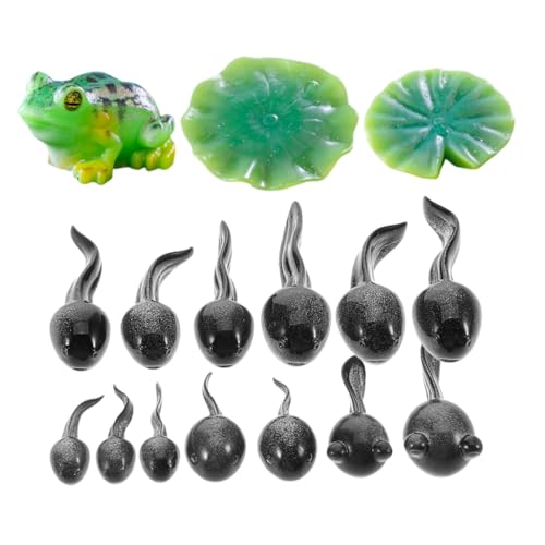 Kisangel 16 Stück Teiliges Mini Frosch aus Resin Detailreiche DIY Terrarium Figuren Realistische Kleine Gartendekorationen für Mooslandschaften und Feengärten Wetterfest Naturgetreu Kisangel 16 Stück Teiliges Mini Frosch aus Resin Detailreiche DIY Terrarium Figuren Realistische Kleine Gartendekorationen für Mooslandschaften und Feengärten Wetterfest Naturgetreu von Kisangel