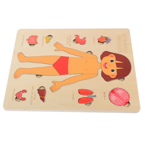 Kisangel 1Satz Holzpuzzle für Lernspielzeug mit Menschlichen Organen für Kleinkinder Stabil und Langlebig Fördert Visuelles Lernen und Frühkindliche Bildung von Kisangel
