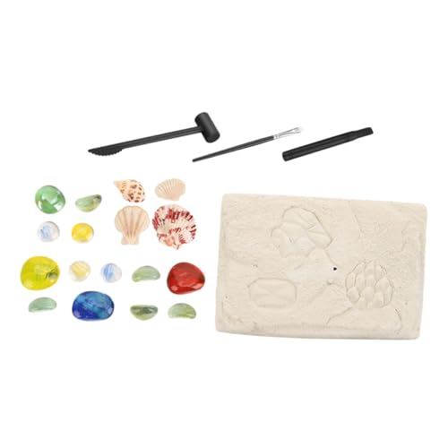 Kisangel 1Satz Kinderarchäologie DIY Ausgrabung Von Edelsteinen Und Fossilien Lernspielzeug Für Fördert Kreativität Und Entdeckung Für Jungen Und Ab von Kisangel