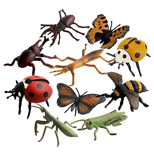Kisangel 1Satz Kunststoff Insektenspielzeug Teiliges Lebensechtes Insektenmodell Für Kognitive Stütze Und Lernspiel Für Umweltbildung Und Tierartenaufklärung von Kisangel