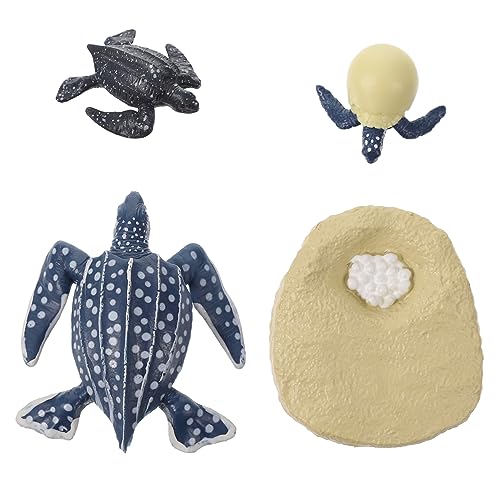 Kisangel 1Satz Lernspielzeug Mit Gefälschten Schildkrötenfiguren Realistische Modelle Für Frühe Bildung Fantasie Und Naturkenntnisse Von Kindern von Kisangel