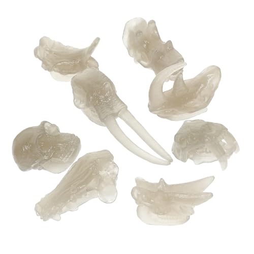 Kisangel 1Satz Nachtleuchtendes Dinosaurier Knochenmodell Realistische Dinosaurier Schädel Für Dekorationsobjekt Für Schreibtisch Dinosaurier Für Kleine Kisangel 1Satz Nachtleuchtendes Dinosaurier Knochenmodell Realistische Dinosaurier Schädel Für Dekorationsobjekt Für Schreibtisch Dinosaurier Für Kleine von Kisangel